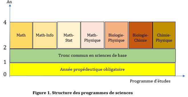 structure des programmes de sciences
